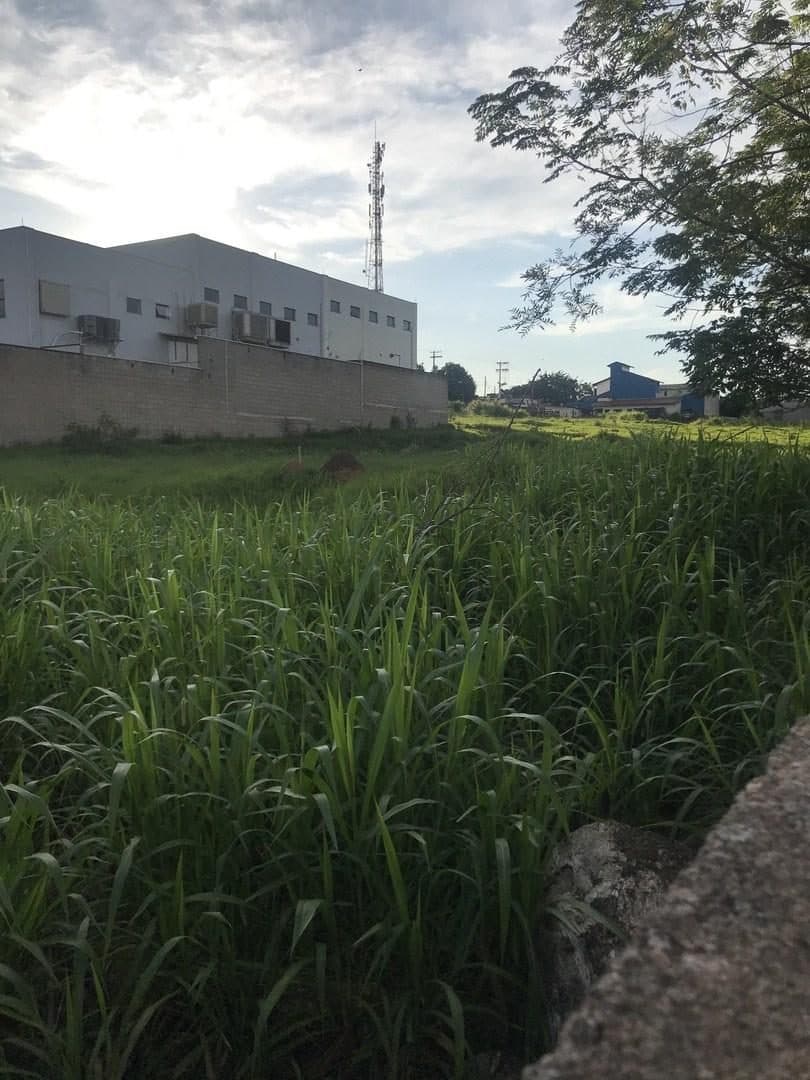 Terreno de 1.337 m² à venda em Jundiaí Mirim — foto 1