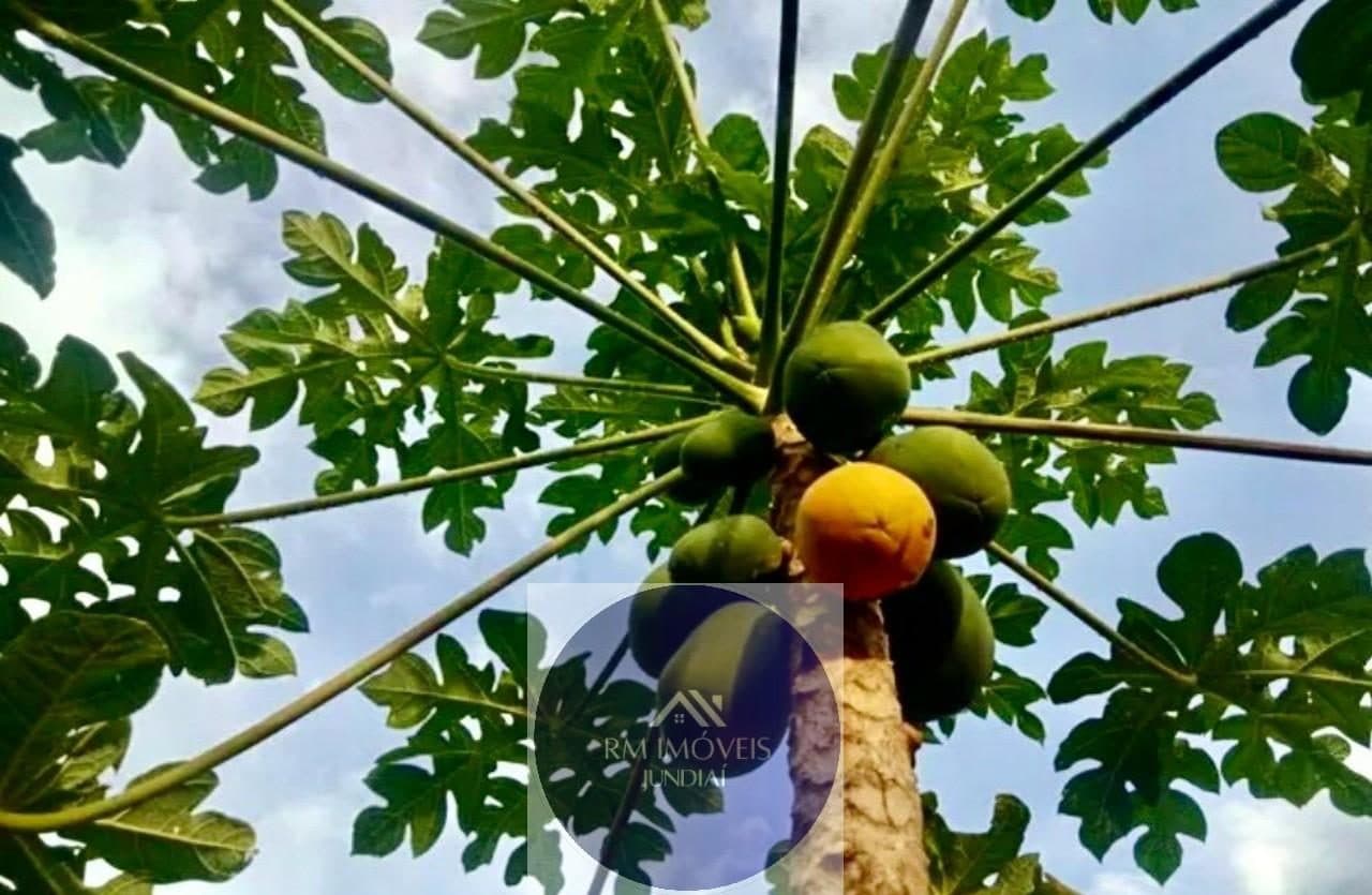 Chácara à venda em Centro — foto 1