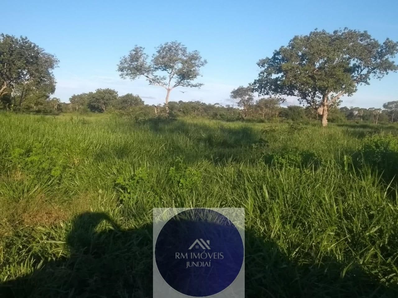 Área rural à venda em Centro — foto 1
